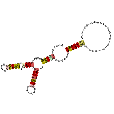 secondary structure