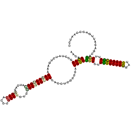 secondary structure