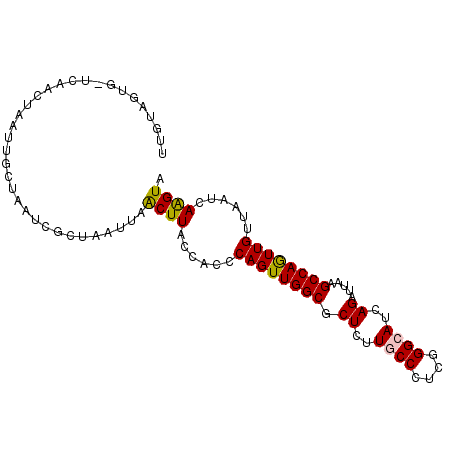 secondary structure