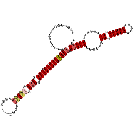 secondary structure