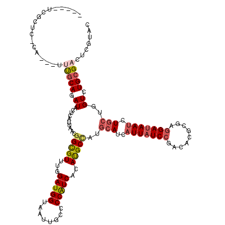 secondary structure