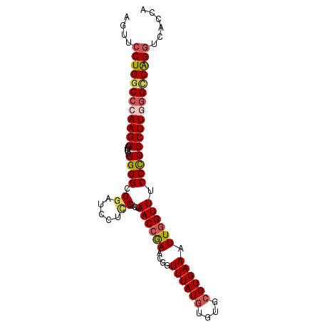 secondary structure
