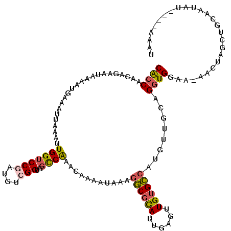 secondary structure