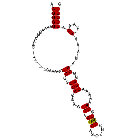 secondary structure