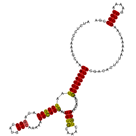 secondary structure