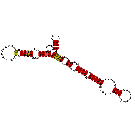 secondary structure