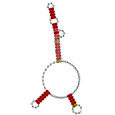 secondary structure