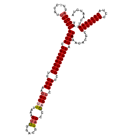 secondary structure