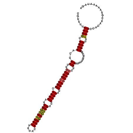 secondary structure