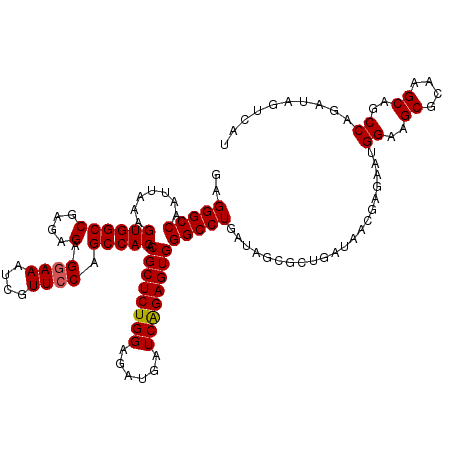 secondary structure