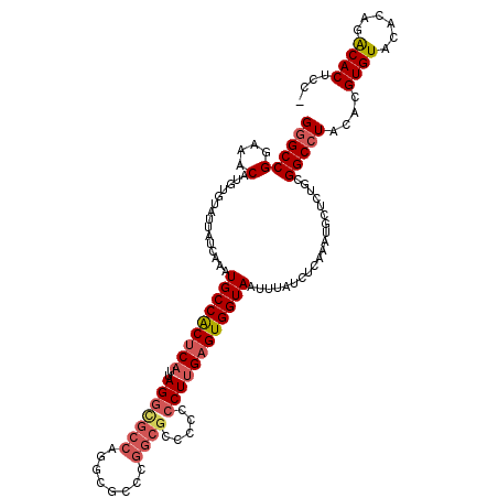 secondary structure