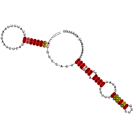 secondary structure