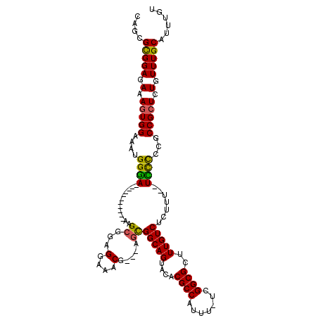 secondary structure