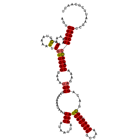 secondary structure