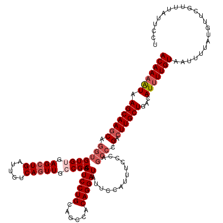 secondary structure