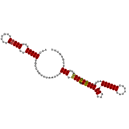 secondary structure