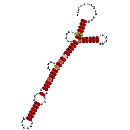 secondary structure