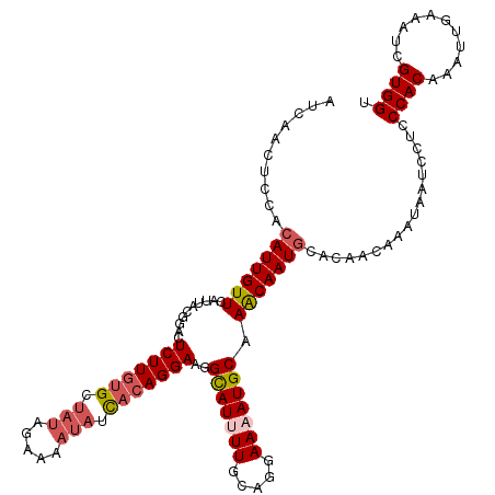secondary structure