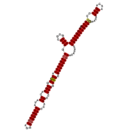 secondary structure