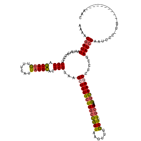secondary structure