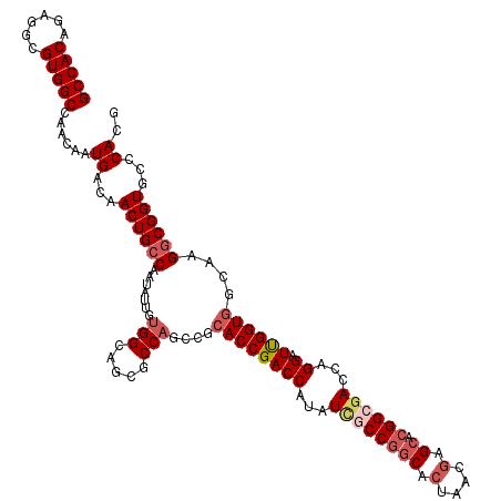 secondary structure