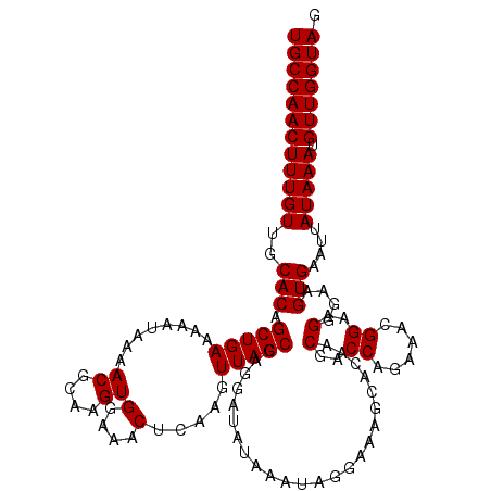 secondary structure