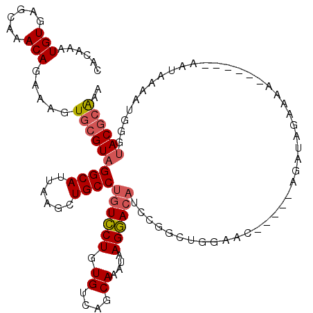 secondary structure