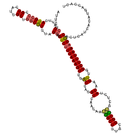 secondary structure