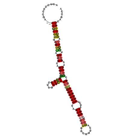 secondary structure