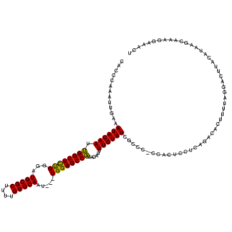 secondary structure