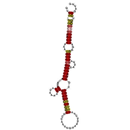 secondary structure