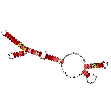 secondary structure