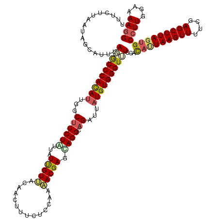secondary structure