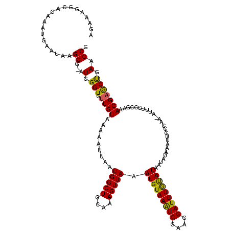 secondary structure