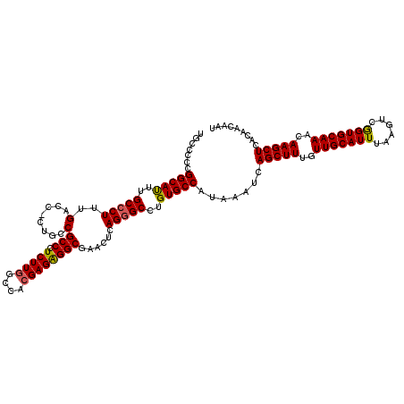 secondary structure