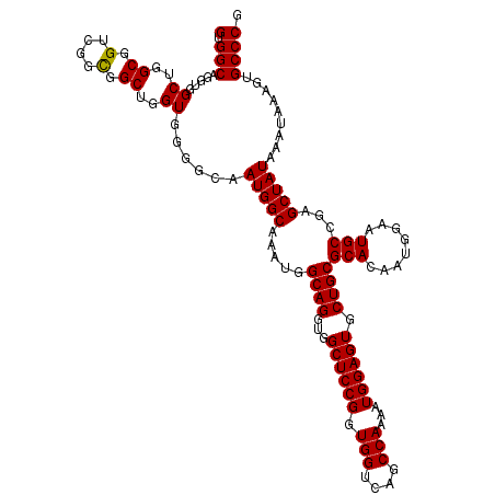 secondary structure