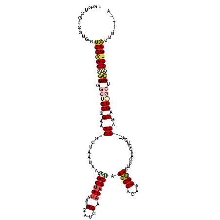 secondary structure