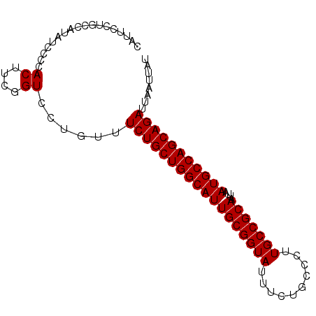 secondary structure