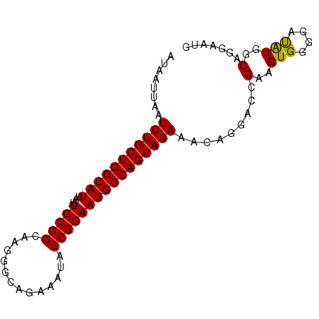secondary structure