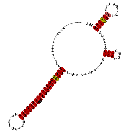 secondary structure