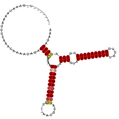 secondary structure