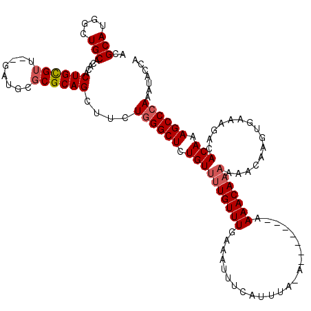 secondary structure