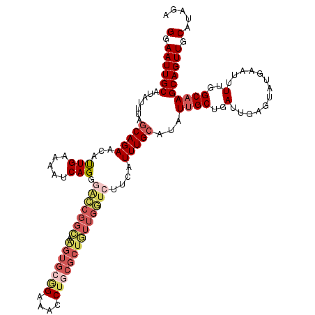 secondary structure