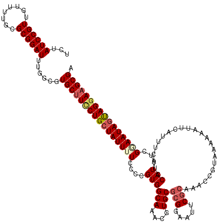 secondary structure