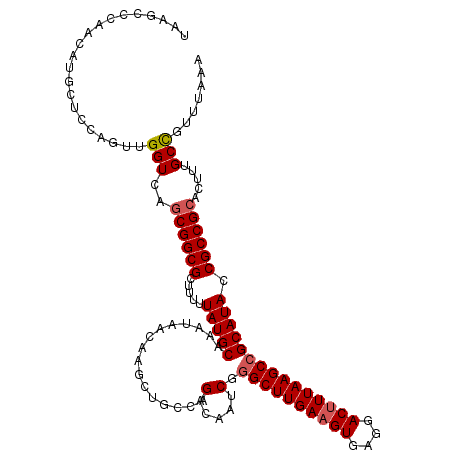 secondary structure
