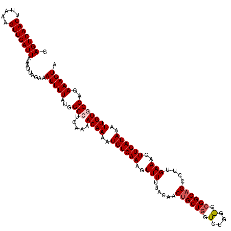 secondary structure