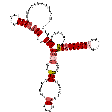 secondary structure