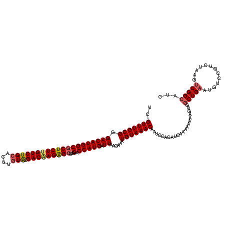 secondary structure