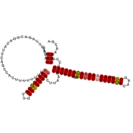 secondary structure