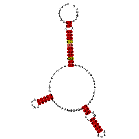 secondary structure